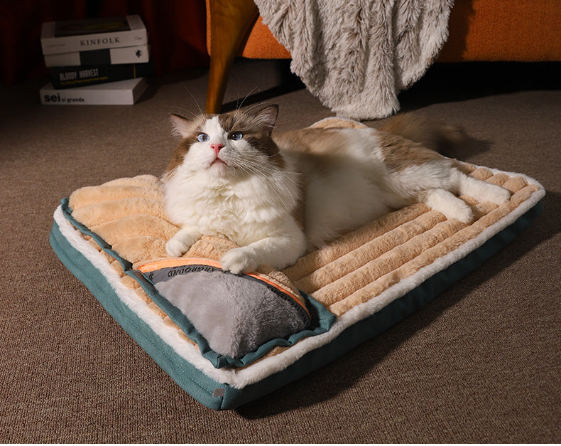 Paw Bed