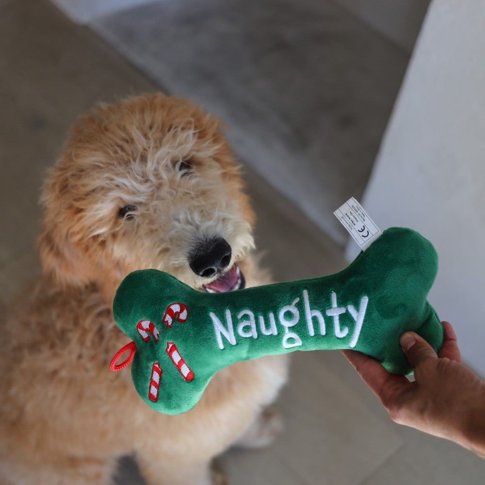 Naughty & Nice Bone Dog Toy
